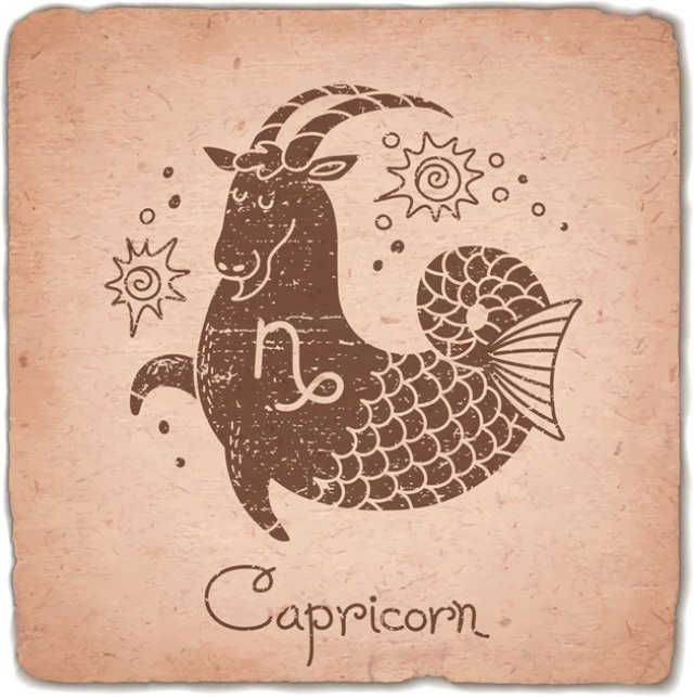 Capricorn ♑️
