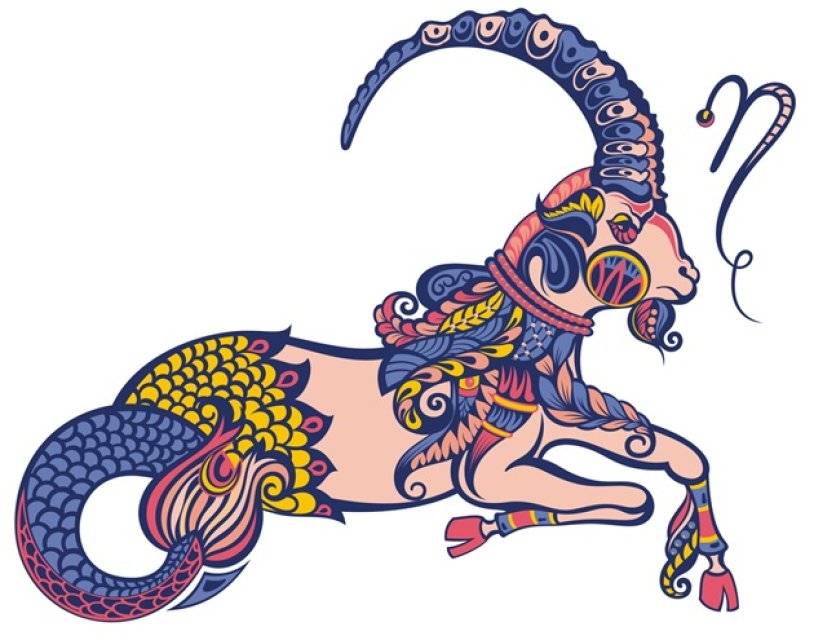 Capricorn ♑️
