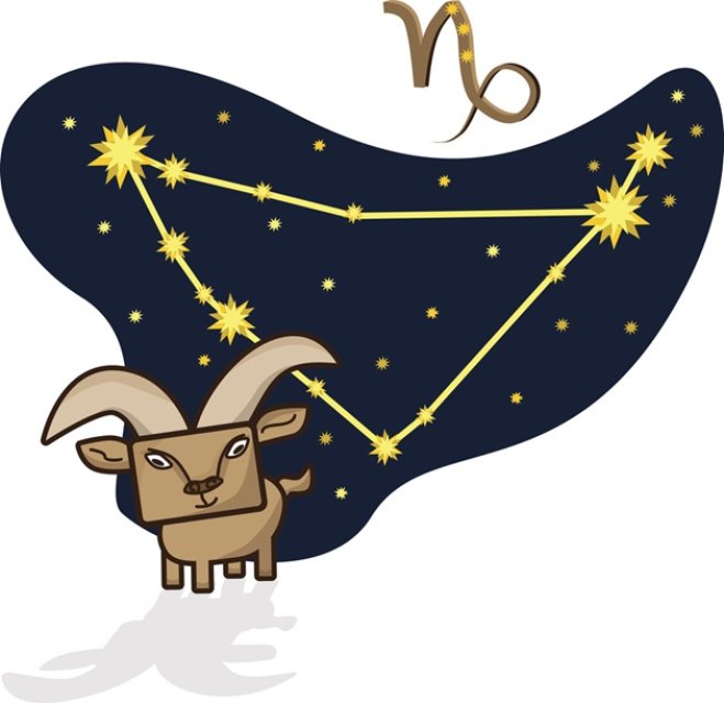 Capricorn ♑️