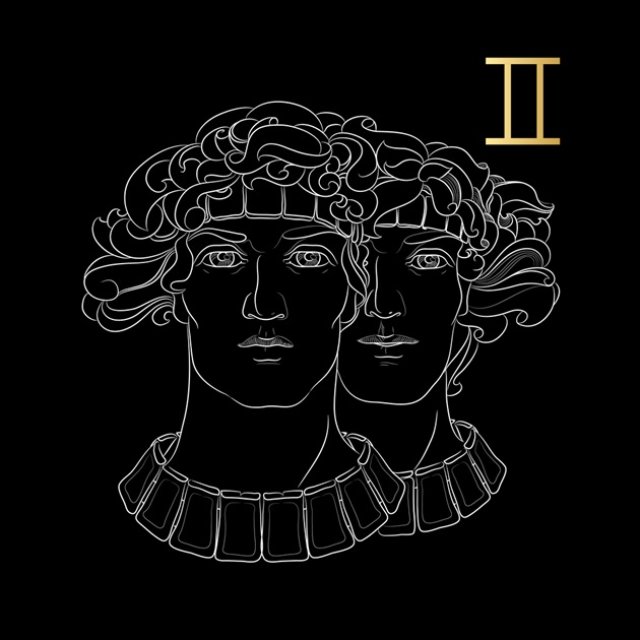Gemeni ♊️