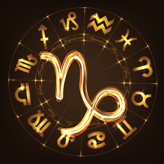 Capricorn ♑️
