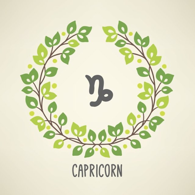 Capricorn ♑️