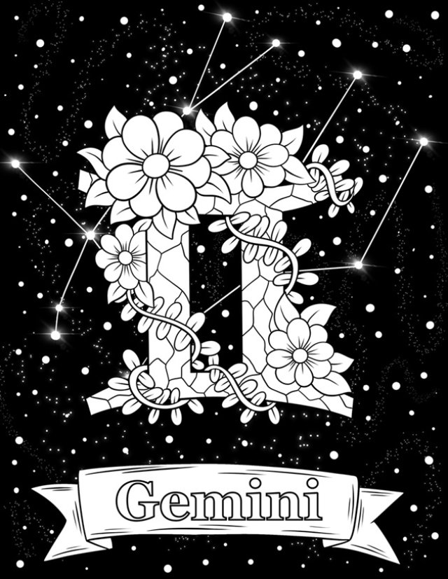 Gemeni ♊️