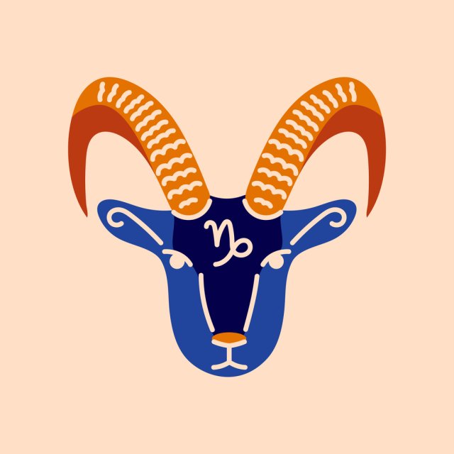 Capricorn ♑️