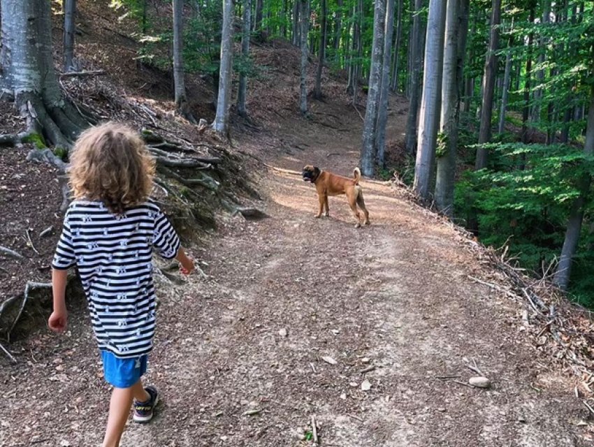 Familia Danei Nălbaru și a lui Dragoș Bucur a renunțat la agitația din Capitală