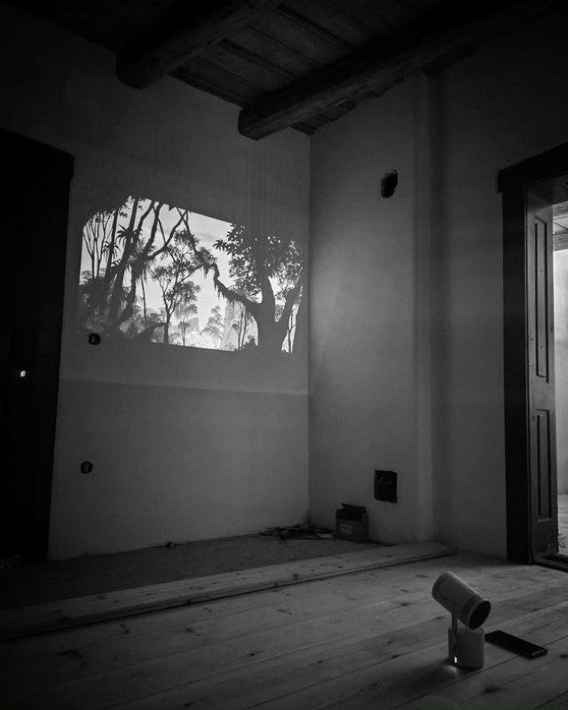 Dana Rogoz deja caută mobilă pentru casa de la Viscri