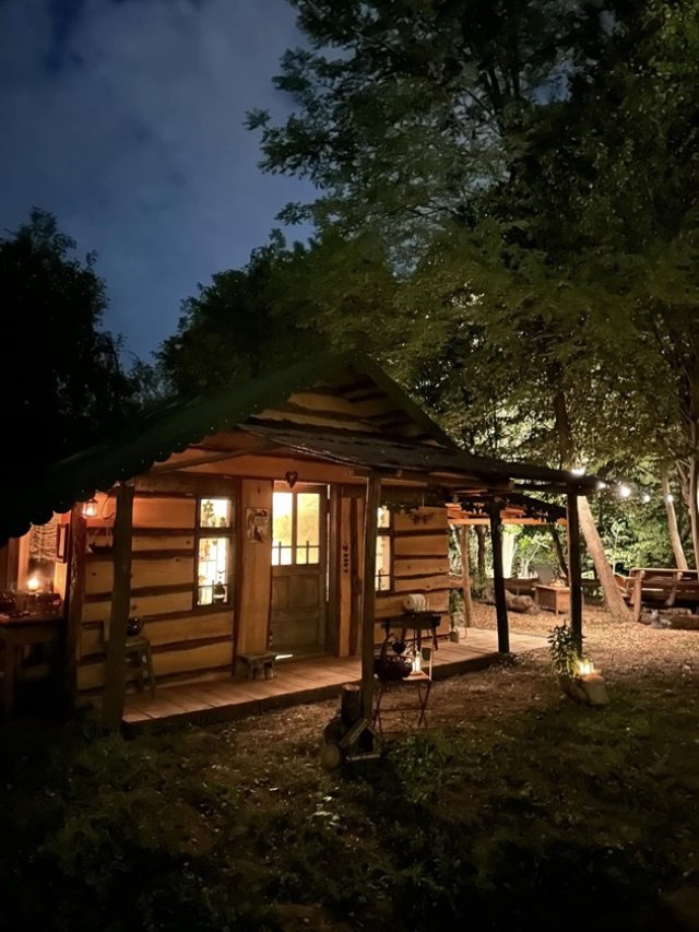 Mihaela Bilic s-a mutat la pădure pentru câteva luni