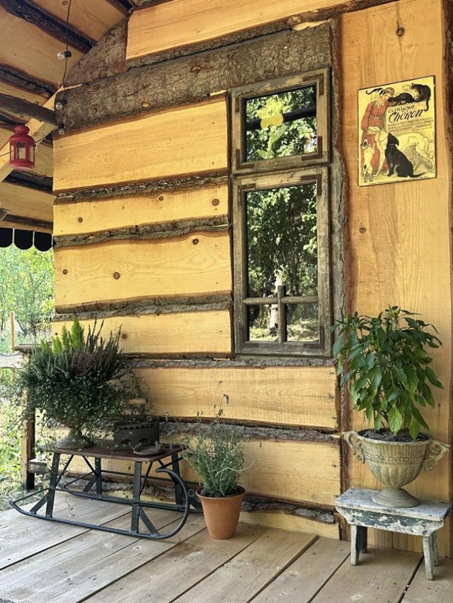 Mihaela Bilic are o cabană din lemn în pădure