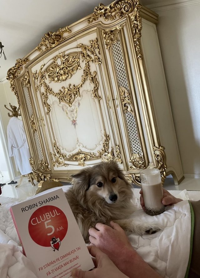 Vila de lux în care trăiesc Alin Oprea și Medana are decorațiuni vintage