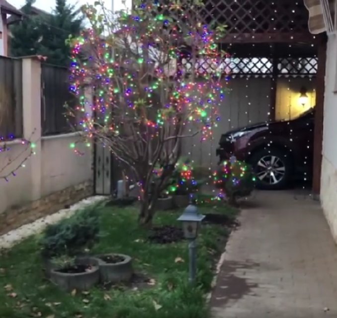 Mirabela Dauer își împodobește toți copacii din curte de sărbători