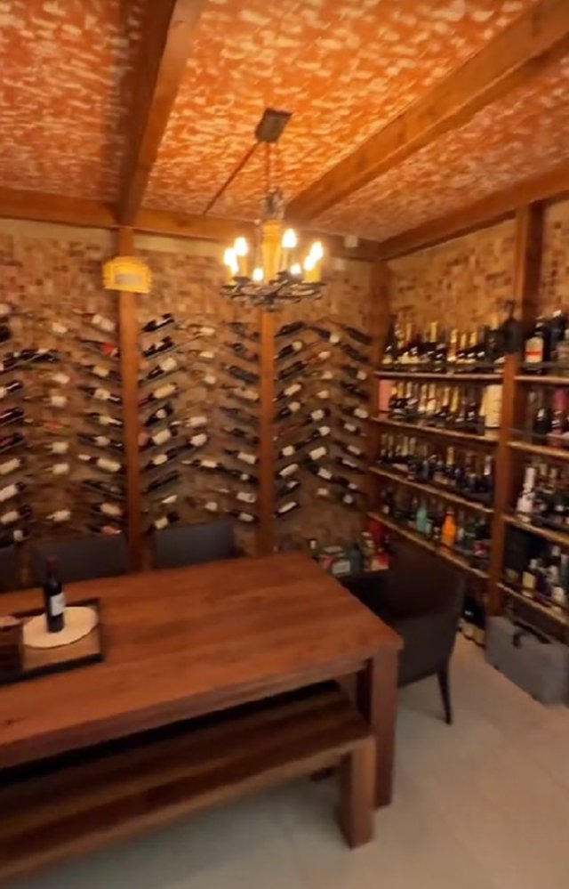 Anamaria Prodan locuiește într-o vilă de lux, în Snagov, și are cramă la subsol