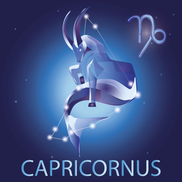 Capricorn ♑️