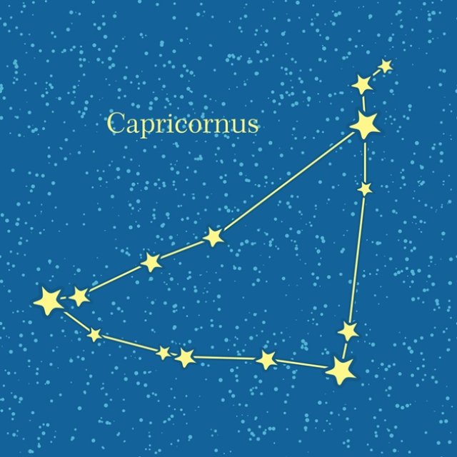 Capricorn ♑️