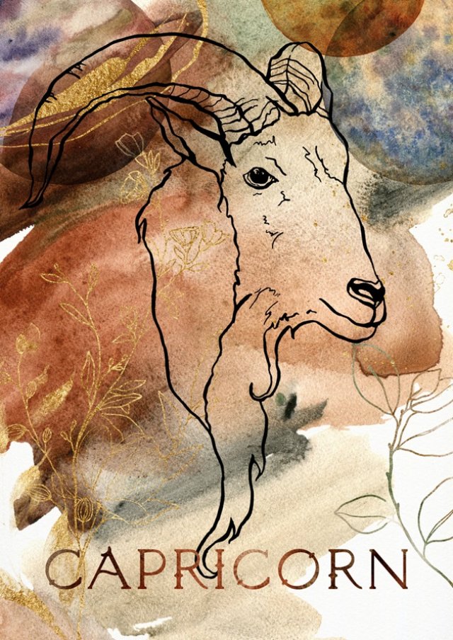 Capricorn ♑️