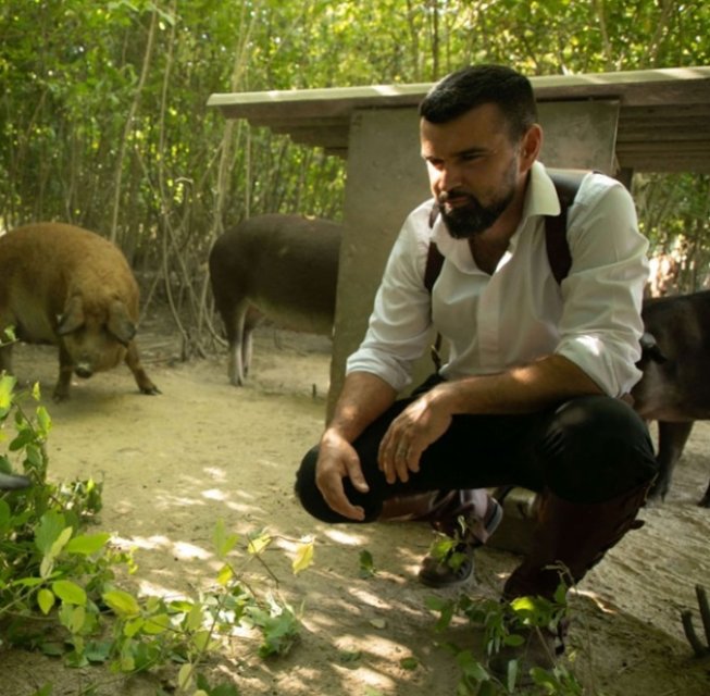 Tenorul Vlad Miriță vinde porci întregi pentru Crăciun sau carne la kilogram