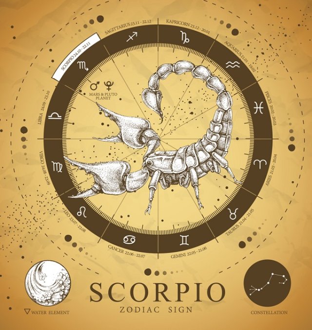 Scorpion