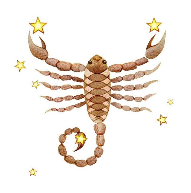 Scorpion