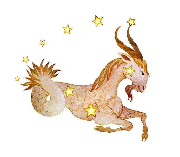 Capricorn