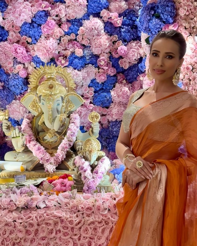 Ce detalii au apărut în presa din India după ce Salman Khan i-a cunoscut părinții Iuliei Vântur, a fost prima oară când s-au afișat împreună pe internet
