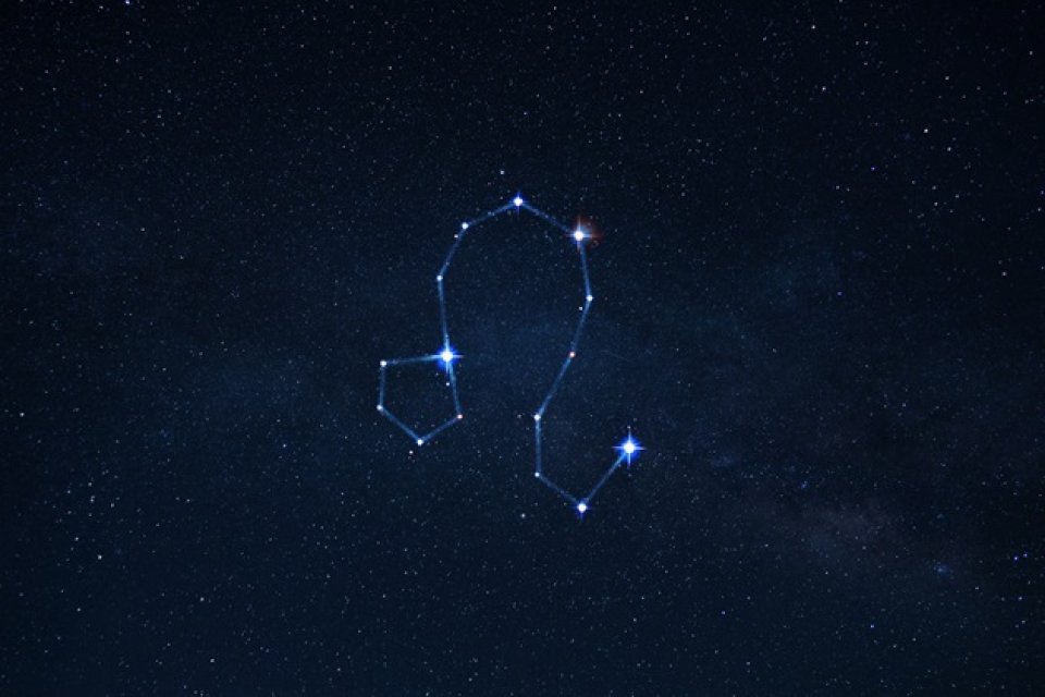 Leu ♌️