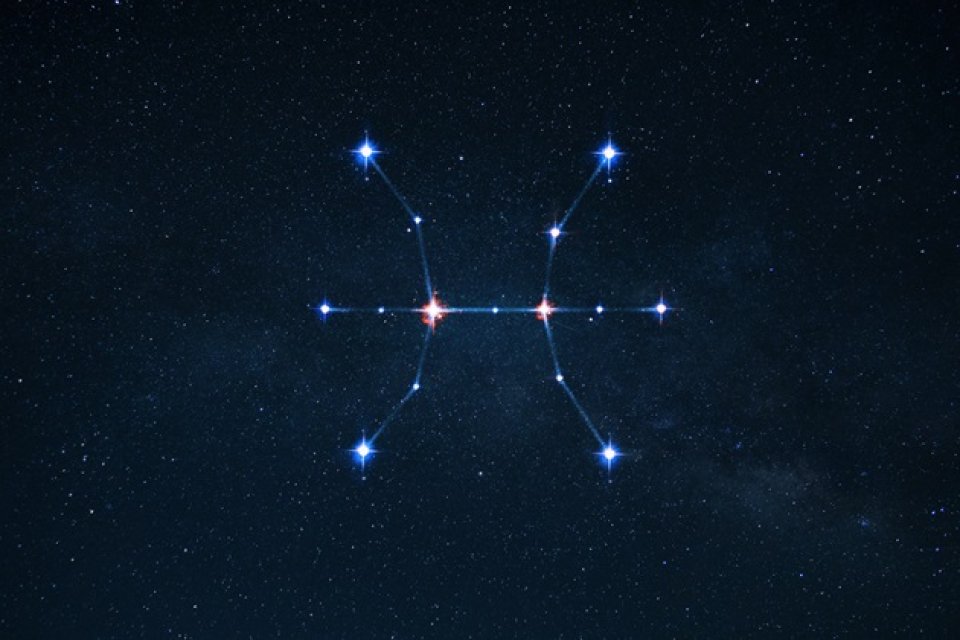 Pești ♓️