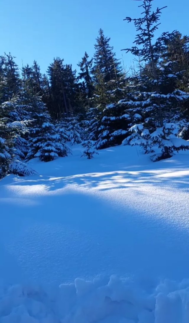 Romanița Iovan a urcat din nou în Munții Apuseni. Vizitează în fiecare an alături de fiul ei locul tragediei unde a murit Adrian Iovan. Au publicat imagini de pe muntele plin de zăpadă