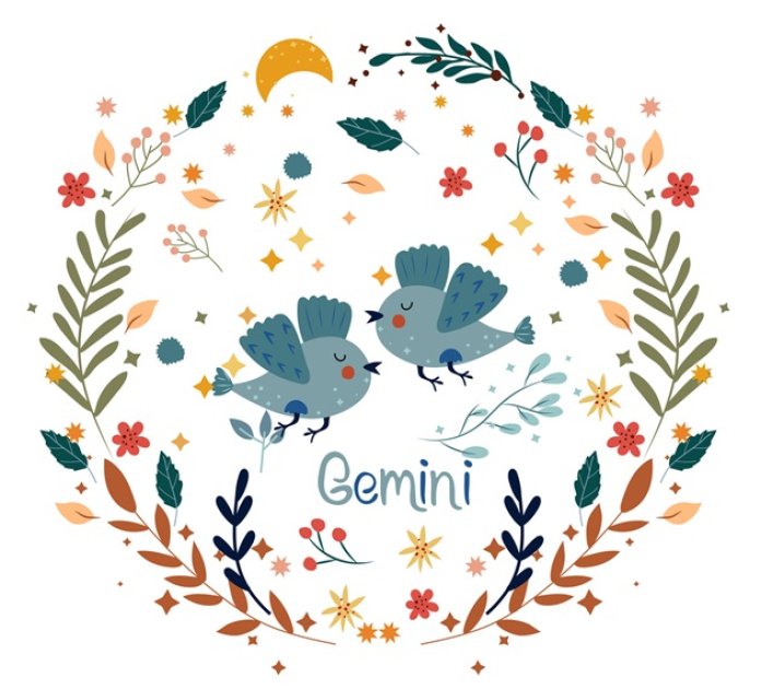 Gemeni ♊️