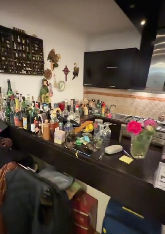 Cum arată casa lui Serghei Mizil din Snagov. Este estimată la un milion de euro și are vedere la lac. Are un bar aprivizionat mereu cu băutură scumpă