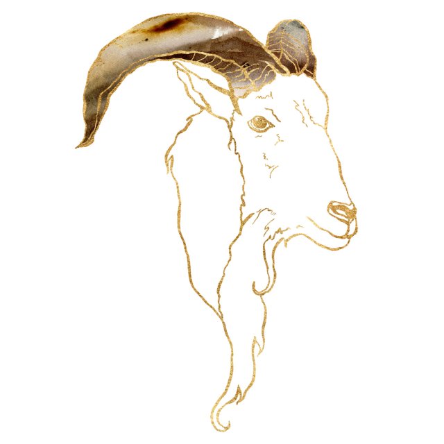 Horoscop mâine, 6 februarie 2025, astrolog Vlad Daia, Capricorn