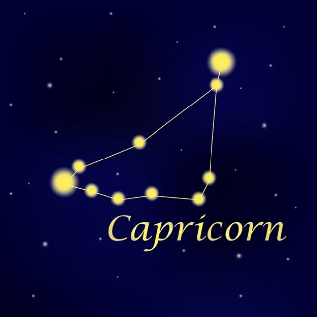 Capricorn ♑️