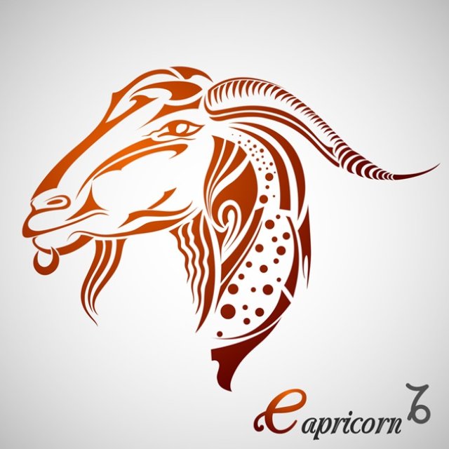 Capricorn ♑️