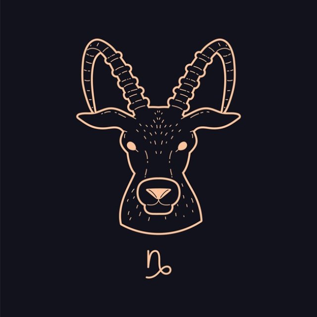 Capricorn ♑️