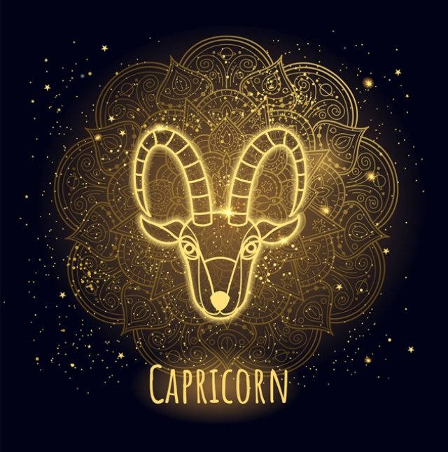 Berbec - Capricorn ♑️
