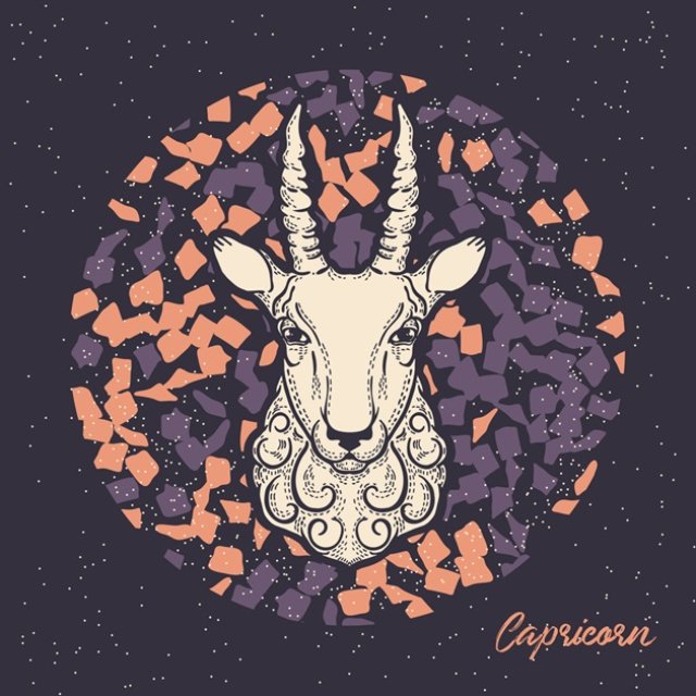 Gemeni - Capricorn