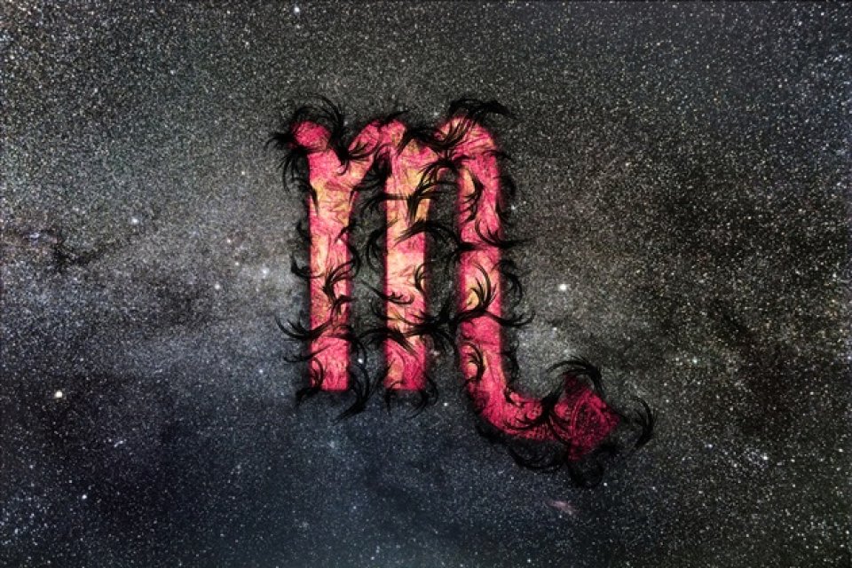Capricorn - Scorpion