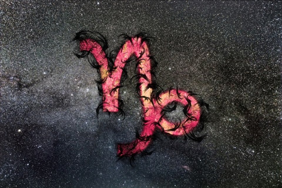 Capricorn - Capricorn
