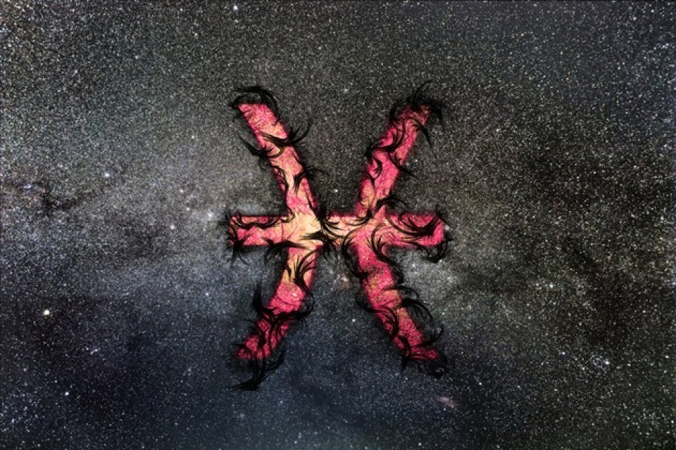 Capricorn - Pești
