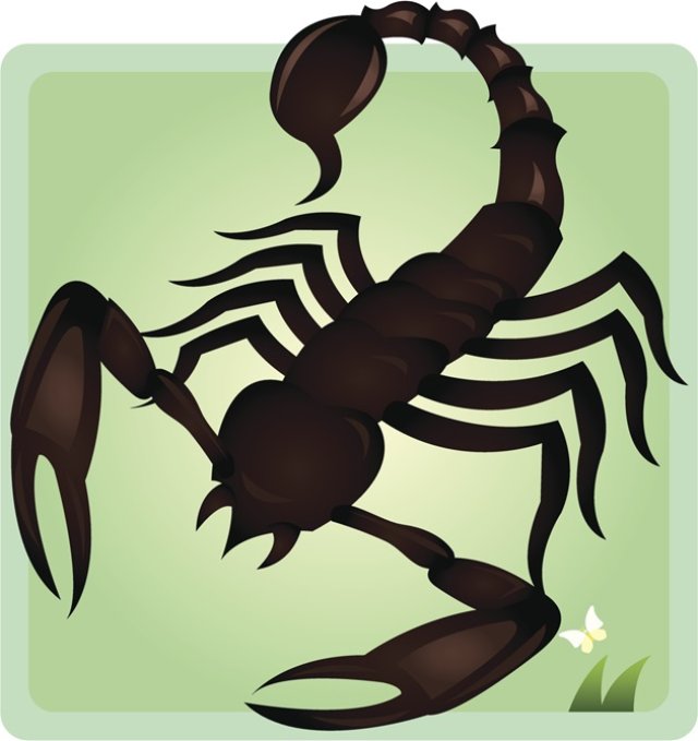 Scorpion ♏️