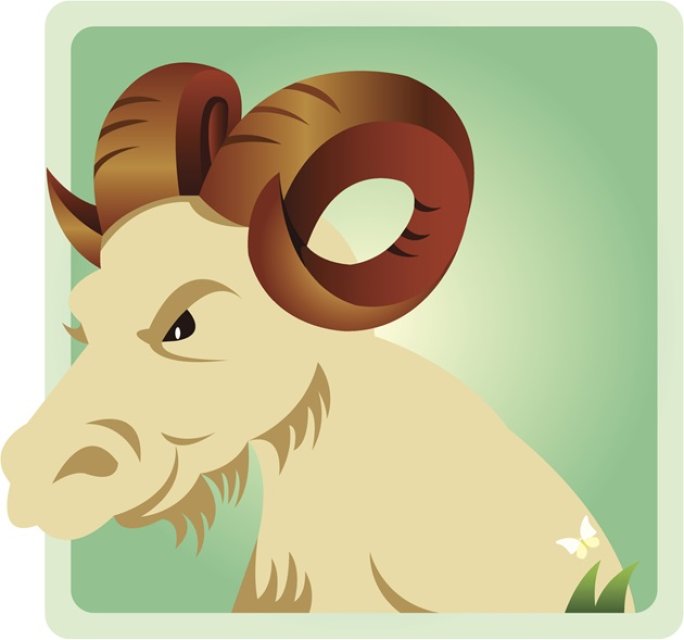 Capricorn ♑️