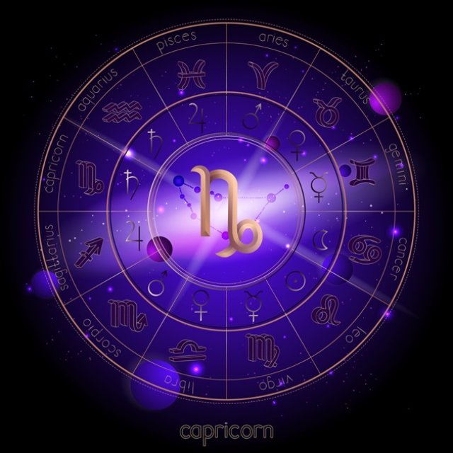 Capricorn ♑️