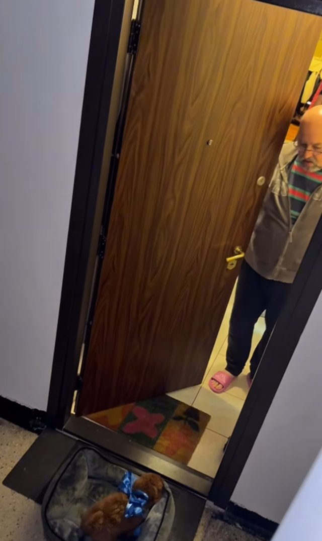 "Noul membru al familiei". Vlad Gherman și Oana Moșneagu au făcut pasul cel mare. Cum și-au surprins apropiații. Au oferit un cățel în dar