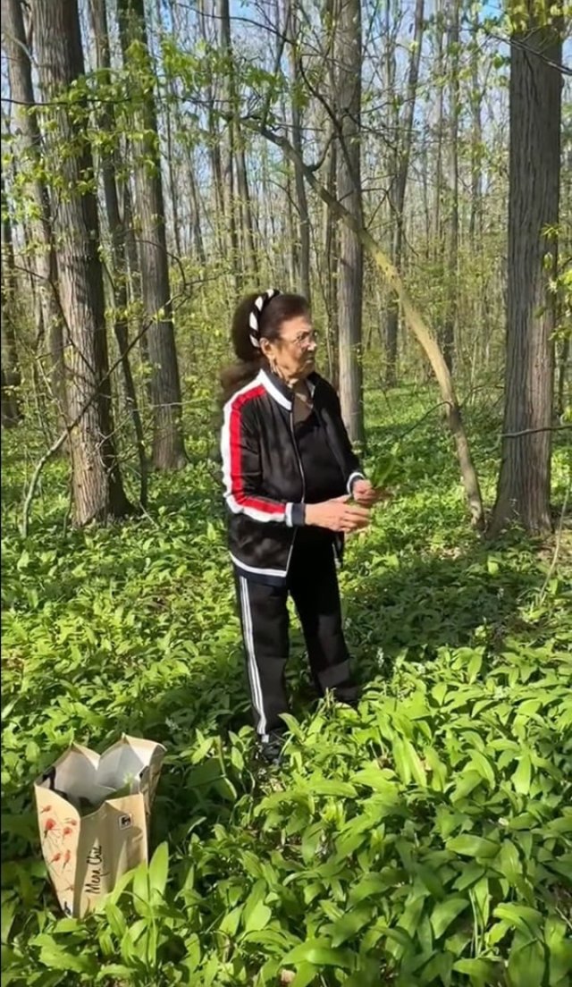 La cules de leurdă cu Irina Loghin. Ce proprietăți miraculoase susține că are planta?