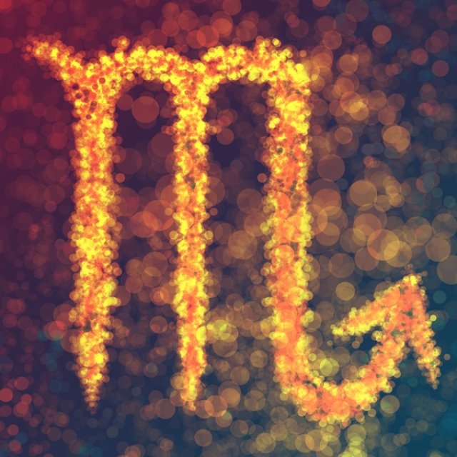 Scorpion