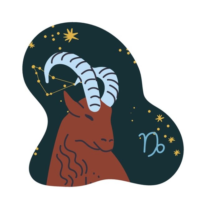 Capricorn ♑️