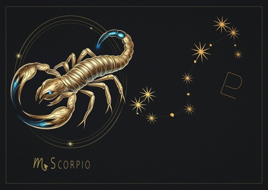 Scorpion