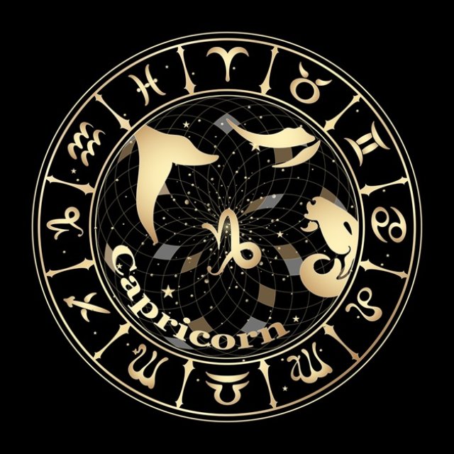 Capricorn ♑️