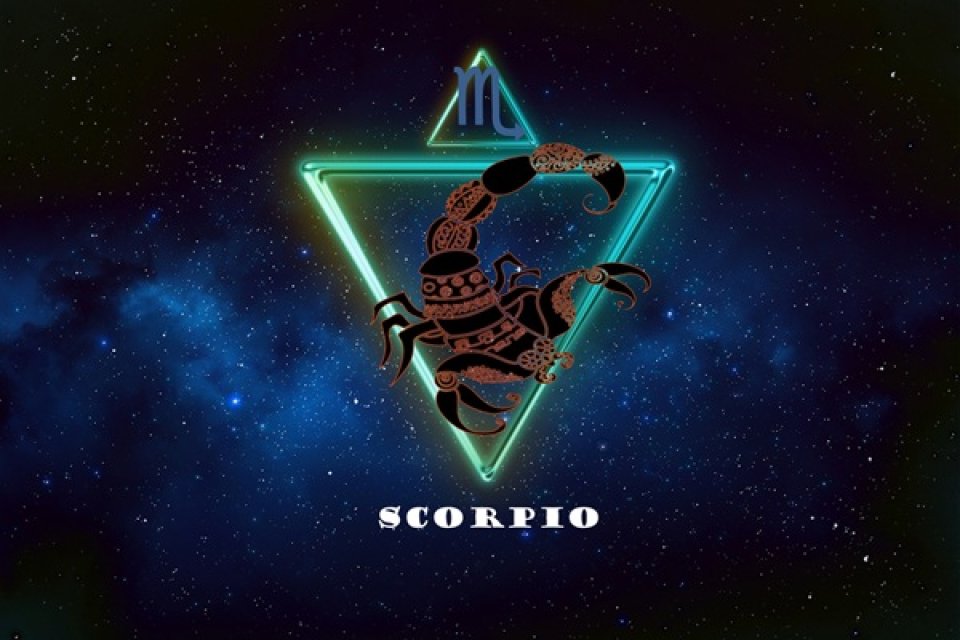Scorpion