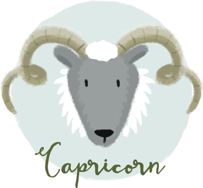 Capricorn ♑️