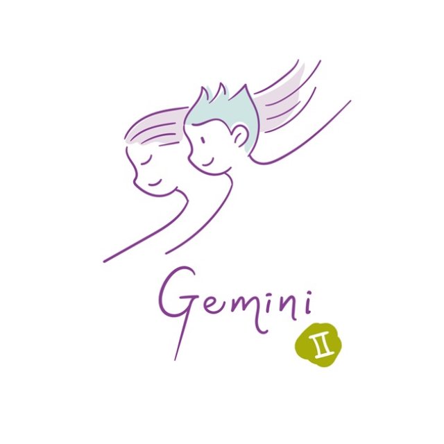 Gemeni ♊️