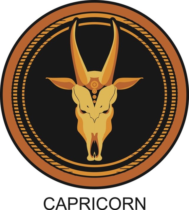 Capricorn ♑️